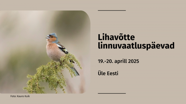 Lihavõtte linnuvaatluspäevad
