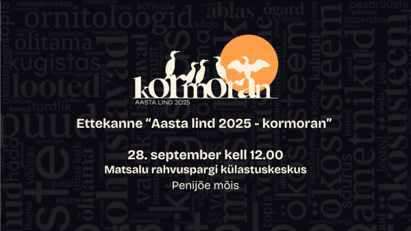 Ettekanne aasta linnust Matsalus