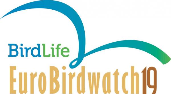 Rahvusvahelised linnuvaatluspäevad EuroBirdWatch