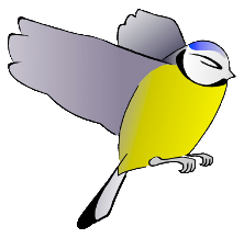 Talvine Aialinnuvaatlus